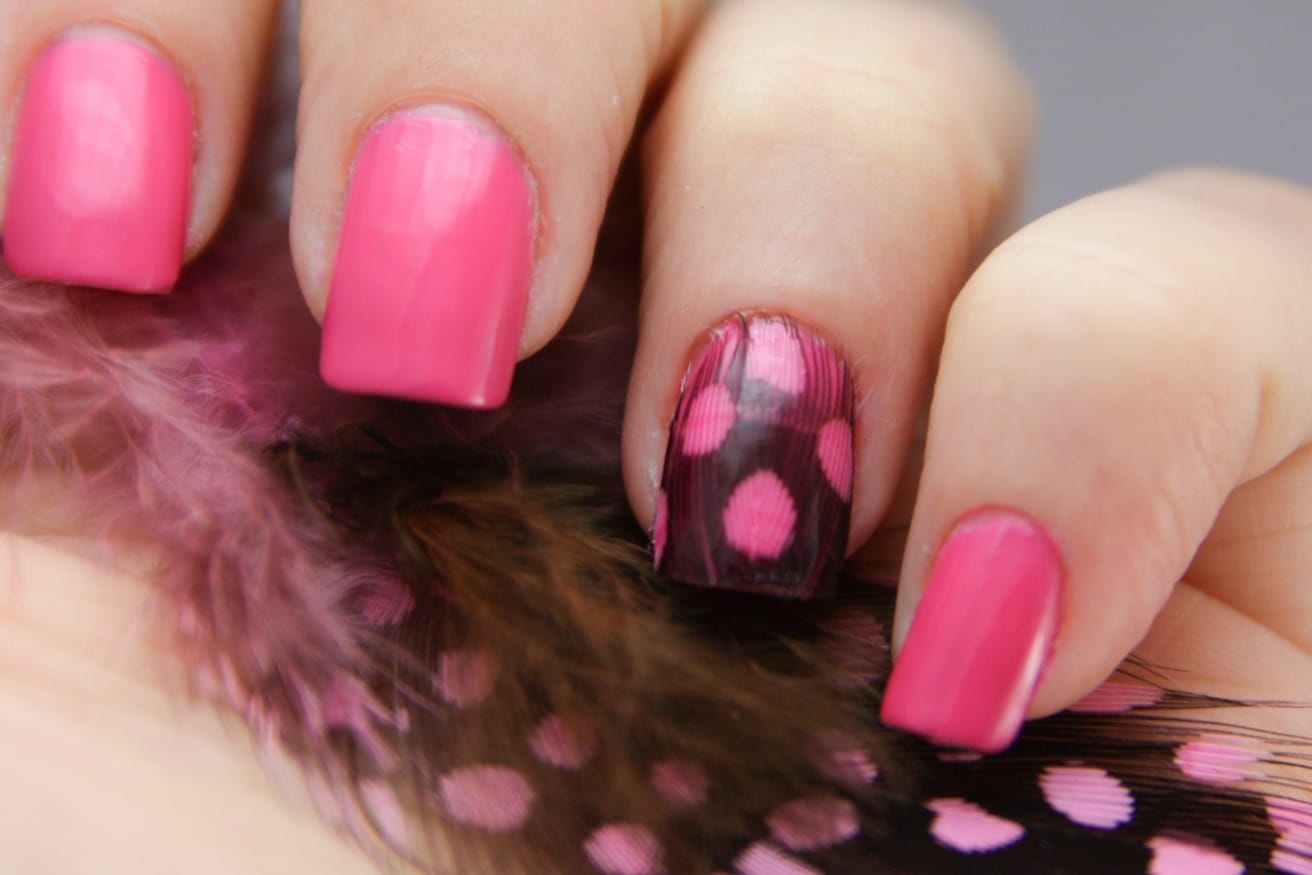 Pink nails with one accent nail painted with dots, held beside a pink and black feather.