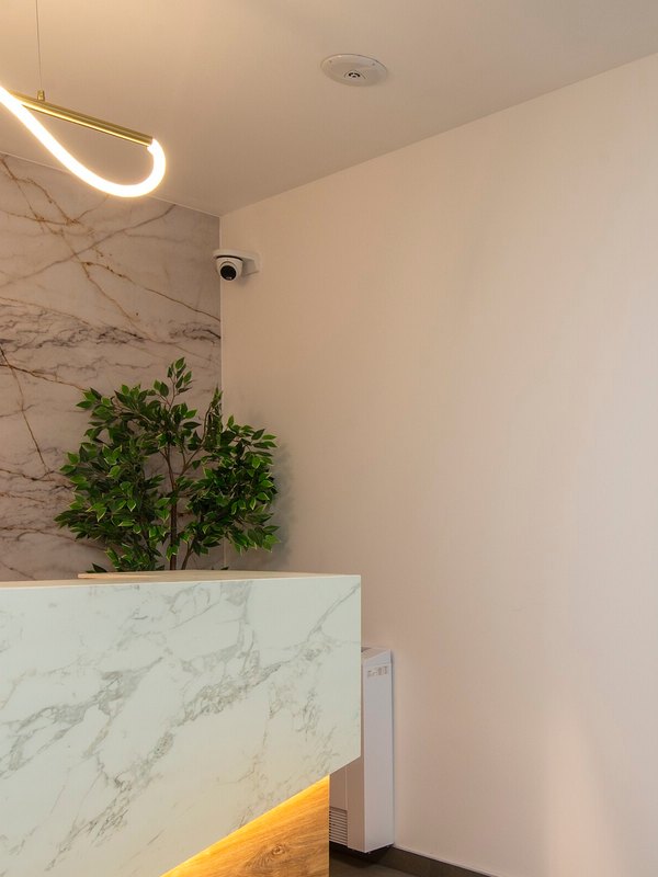 Reception desk in white marble with a potted tree and a curved pendant light