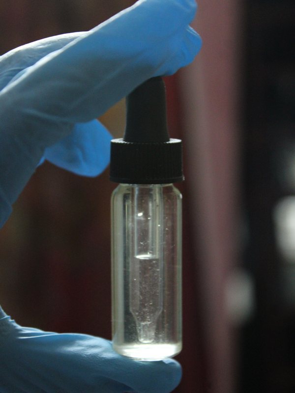 A gloved hand holding a small serum bottle
