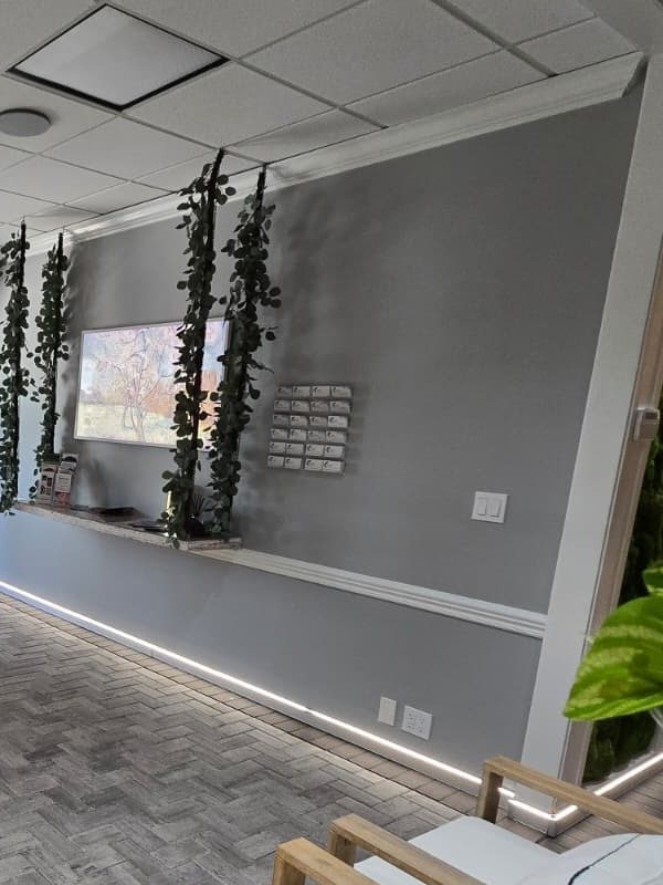 A clinic lounge with trailing plants and a long shelf