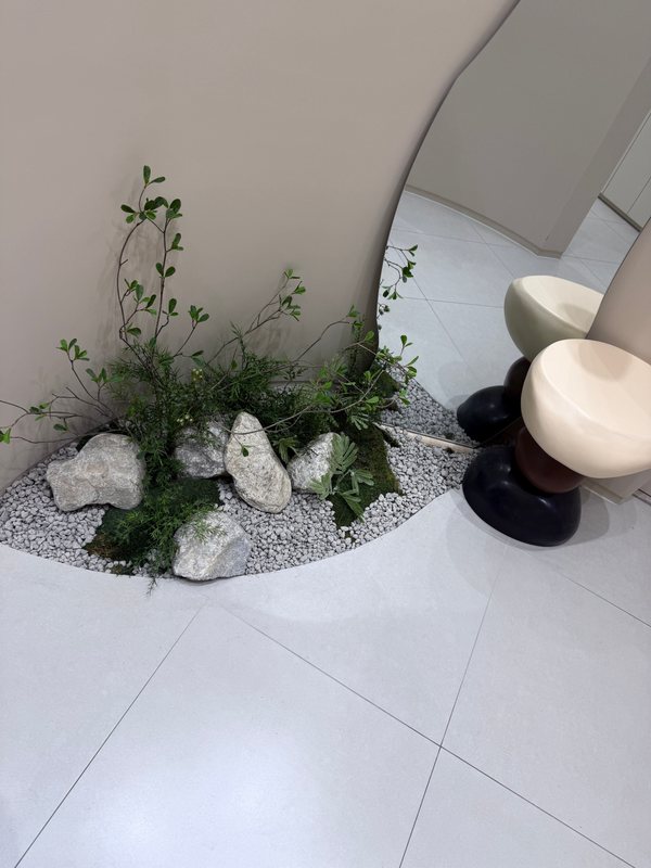 A clinic corner with pebbles, greenery and a stone basin