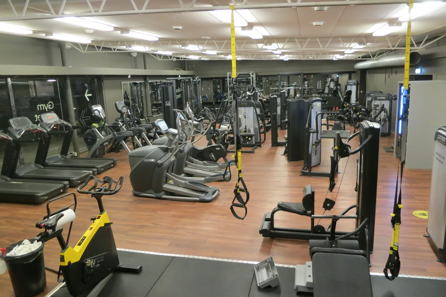 Cardio and resistance machines arranged along an open training floor