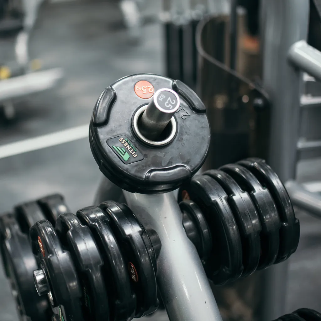 Loaded dumbbells racked for an assessment set
