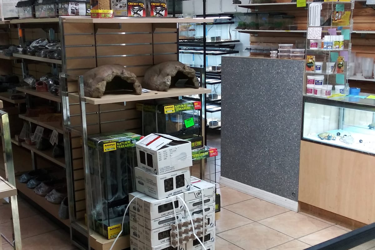 The sales floor of a small pet shop: slatted shelving holding terrariums and reptile hides, with a service counter at the back.