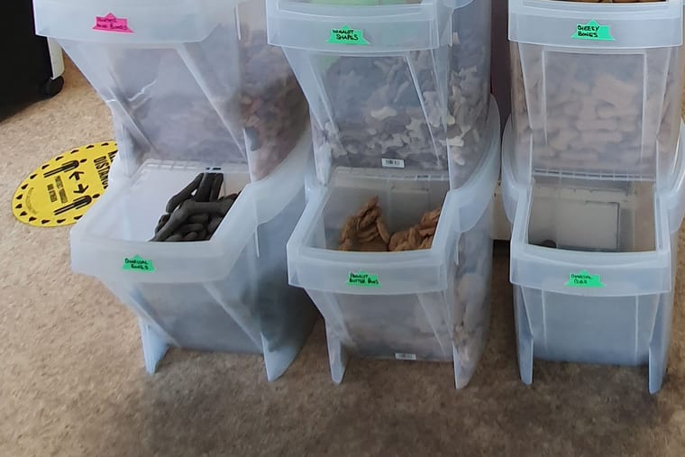 Stacked gravity dispensers of loose dog biscuits, each bin hand-labelled along its lip.