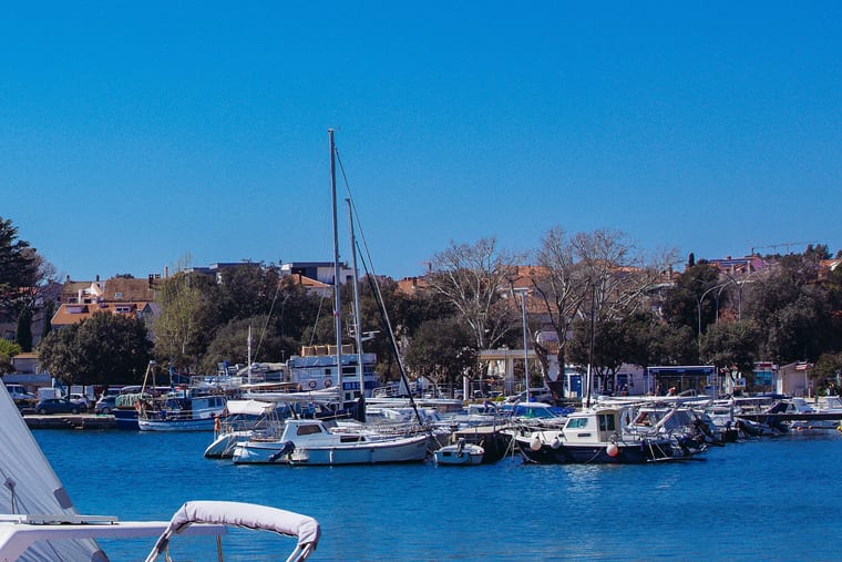 Moored yachts and small craft lying along a wooded shoreline.