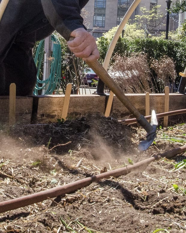 A person working a hoe through loosened soil in a new bed, cropped at the shoulders so no face is visible.
