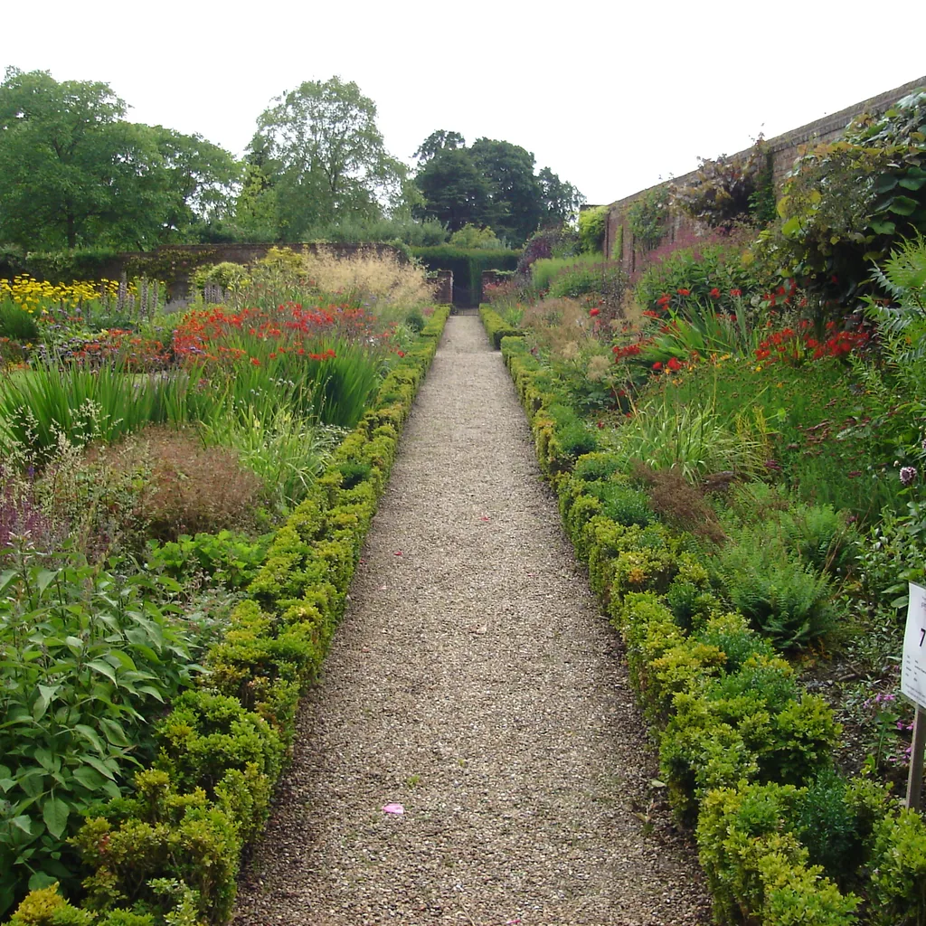 Mulched border edge beside clipped box and gravel