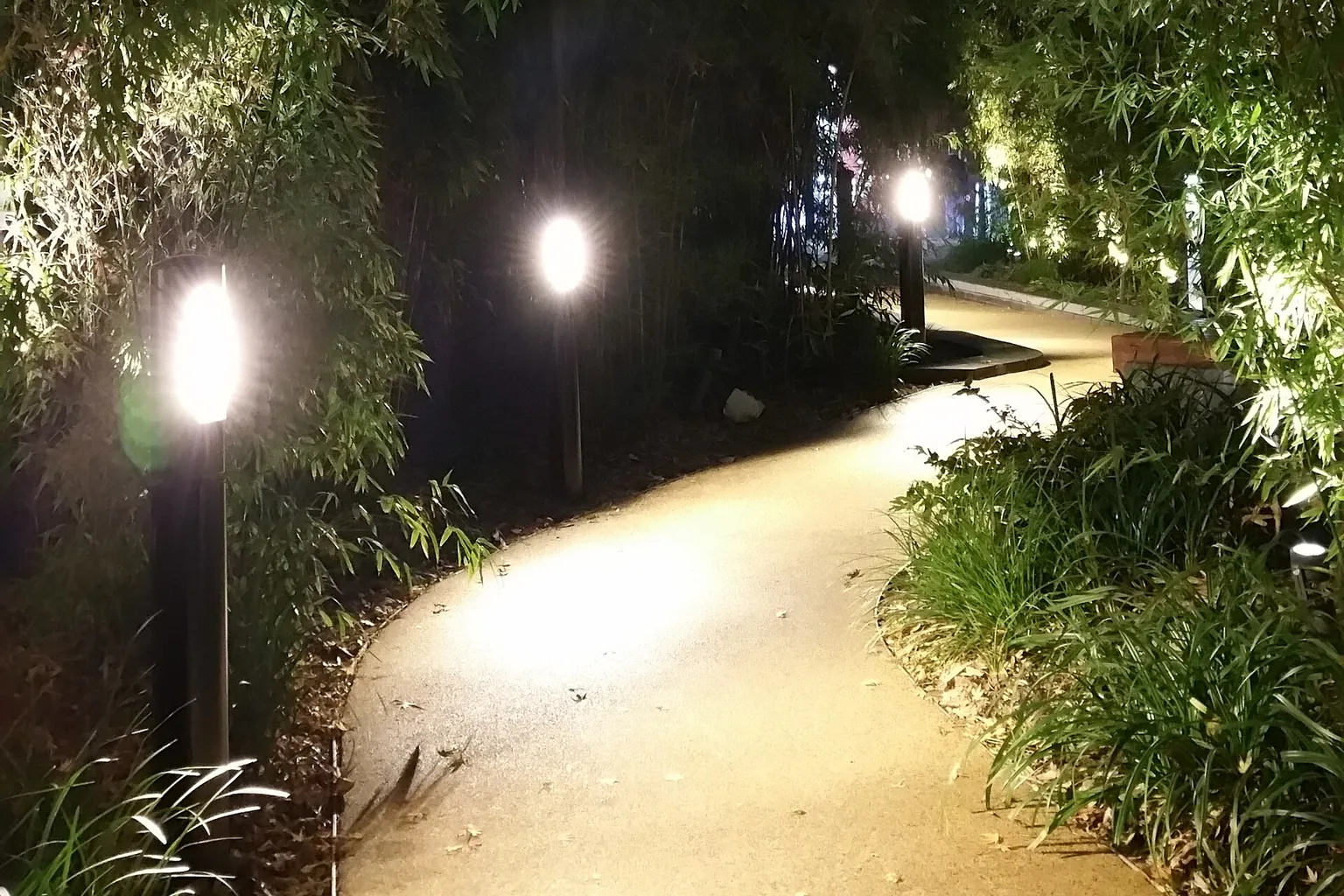 Bollard lights along a garden path at dusk