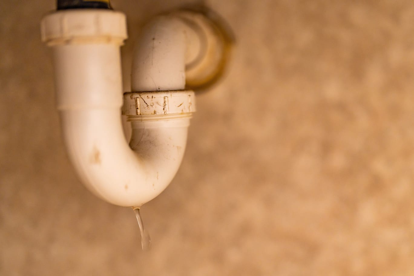 A white plastic P-trap beneath a sink, its slip joint wet and the pipe below it stained where water has run