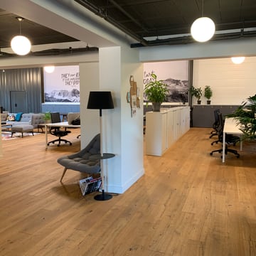A bright office with a wooden floor, desks, plants and reading lamps