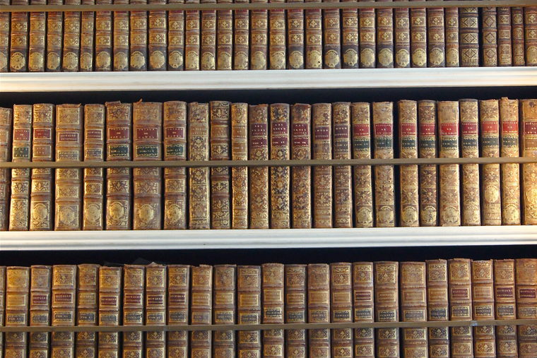 Shelves of matched leather-bound volumes with gold tooling on their spines.