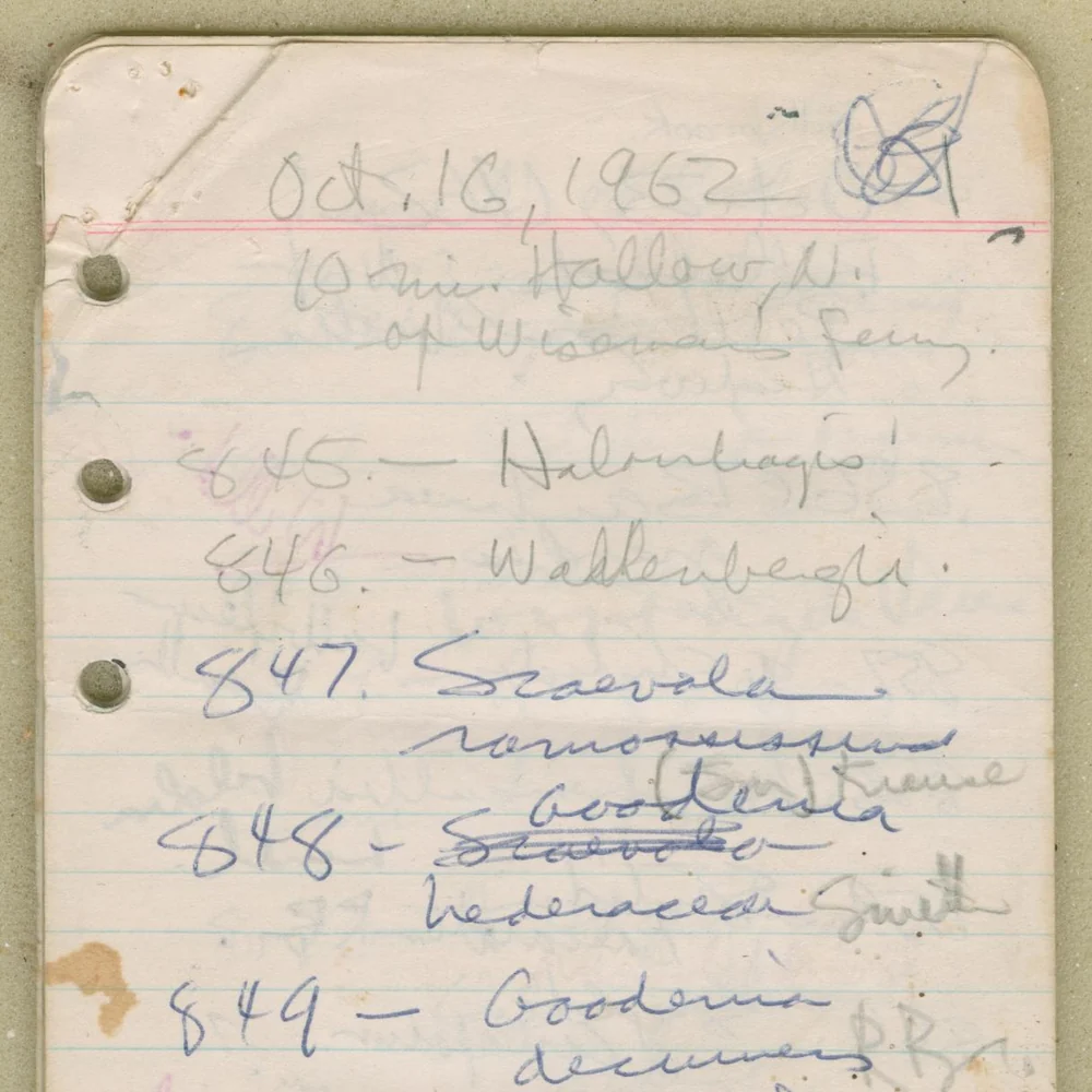Open field notebook with handwritten site observations