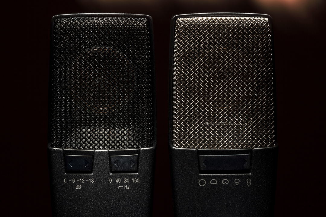 Two condenser microphone grilles side by side, their switches set to pad and low-cut positions marked in decibels and hertz.