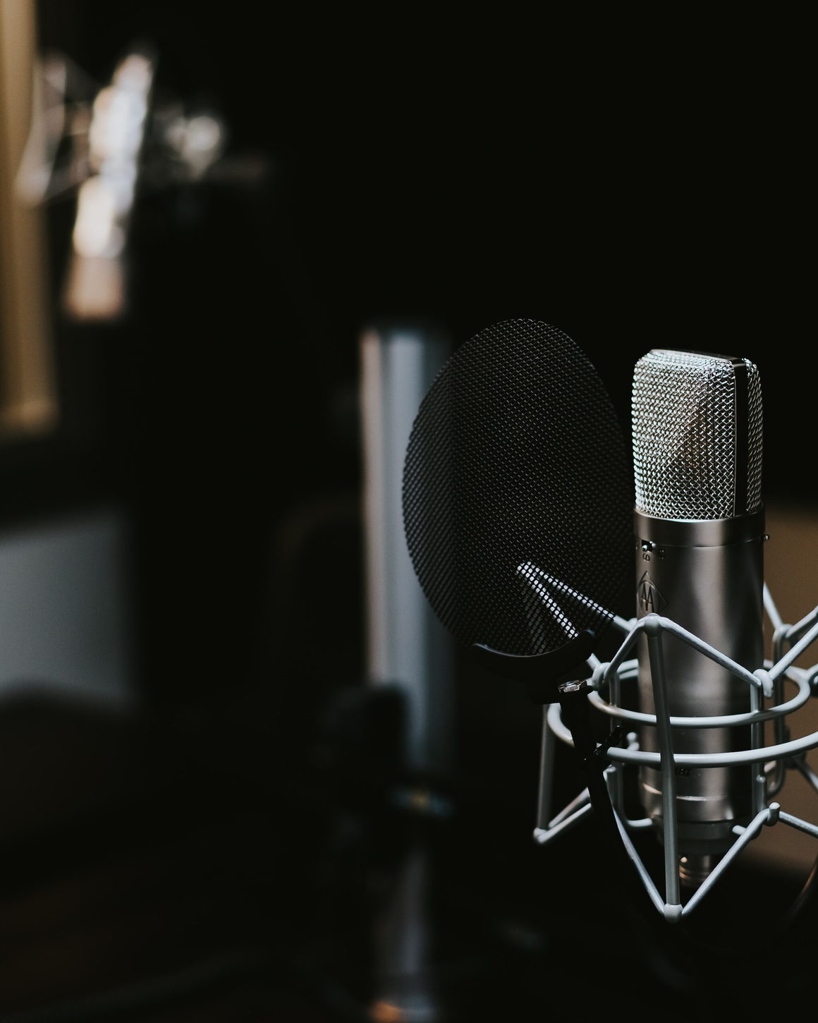 A condenser microphone in a shock mount, with microphone stands out of focus behind it.