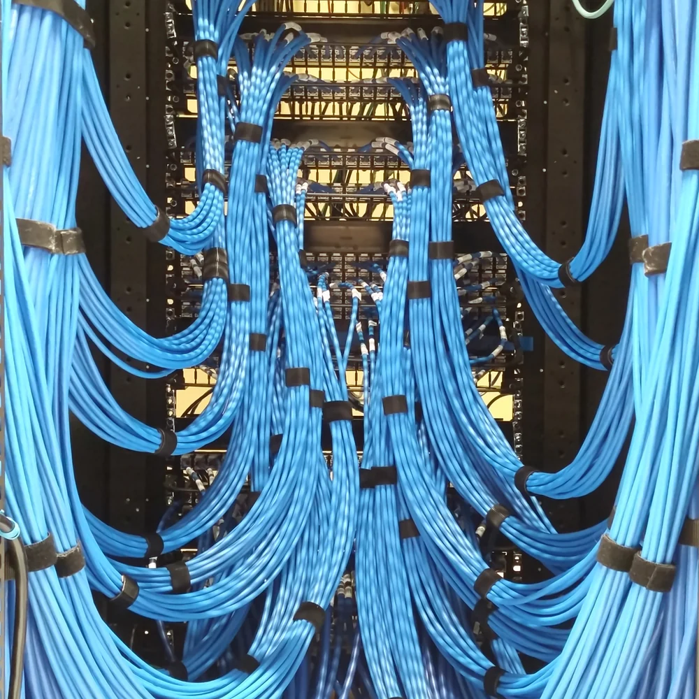 Blue network cables bundled into a patch panel