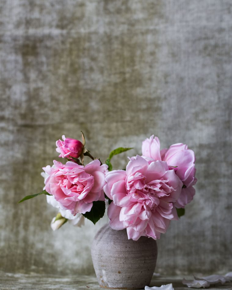 Pink peonies arranged in a pale stoneware vase.
