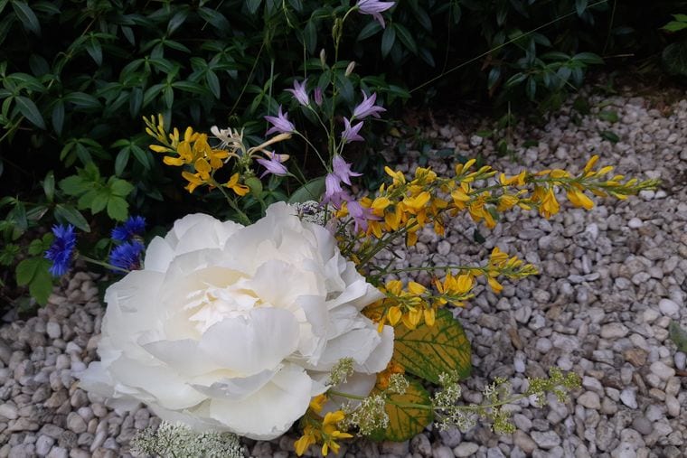 A single open white peony surrounded by yellow and lilac wildflowers, laid on pale gravel.