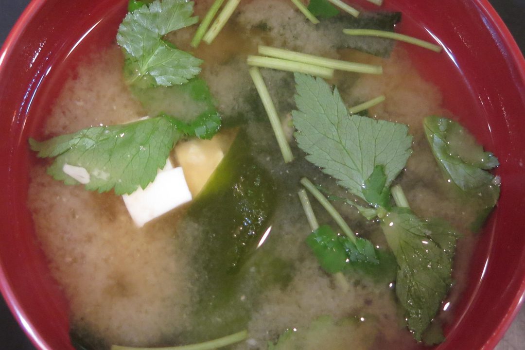 A wide bowl of soup finished with cream and herbs, a cut of bread resting on the rim.