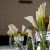White calla lilies standing in clear glass tumblers, out of focus.