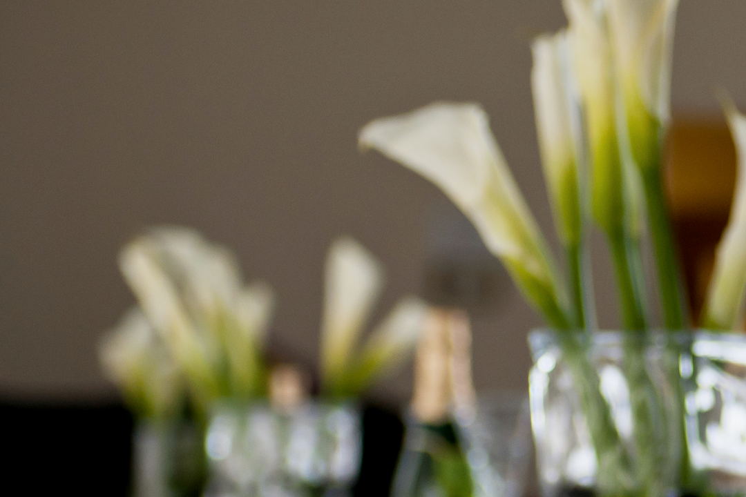 White calla lilies standing in clear glass tumblers, photographed close and left soft.